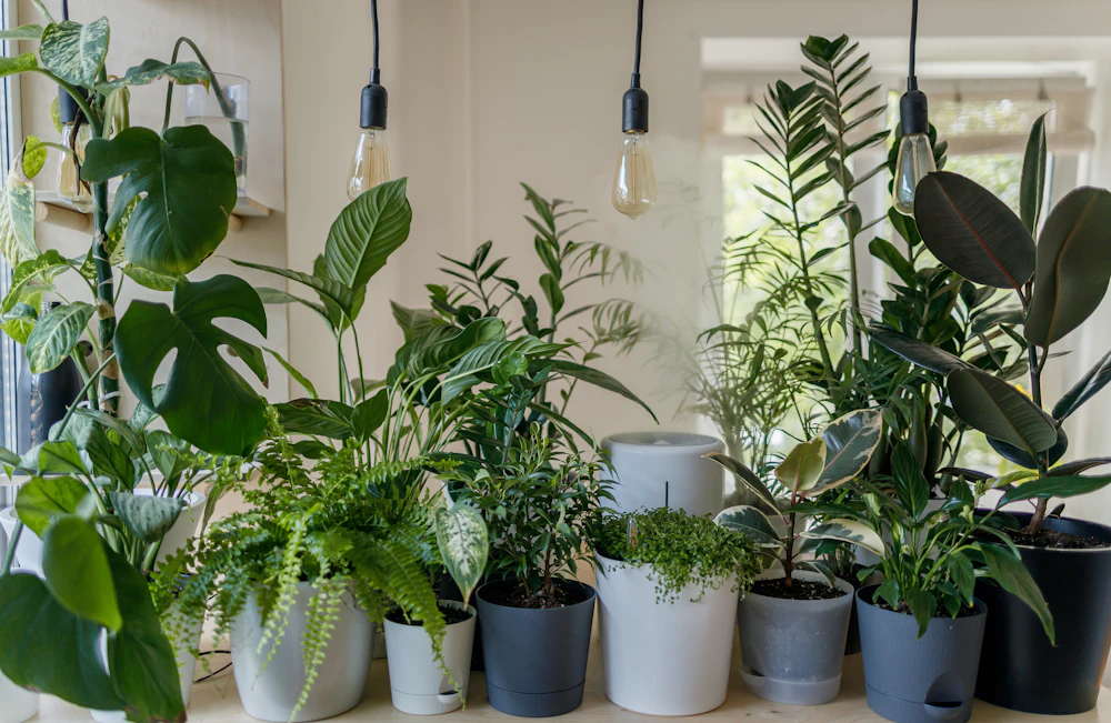 Planta artificial en un rincón